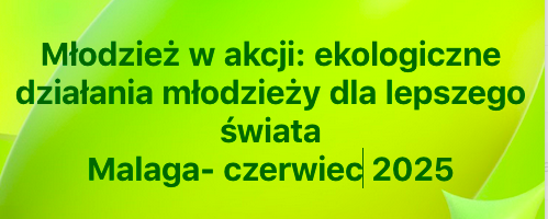 Zrzut ekranu 2025-06-2 o 13.11.08